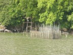 Ko Song Phi Nong fishtrap.JPG (130 KB)